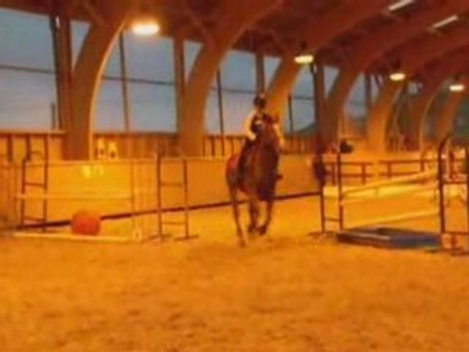 Concours 11 novembre.