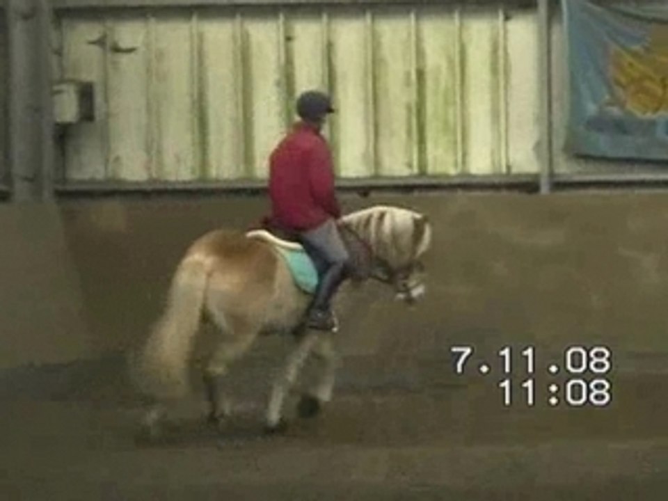 Béaetnarco