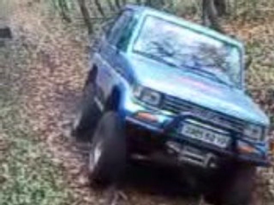 Dans les bois 2