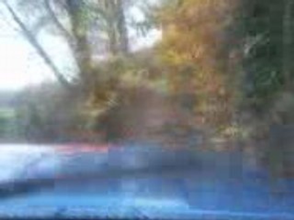 Dans les bois 3