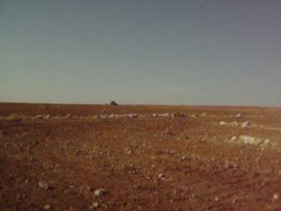 TD 95 D Ekim