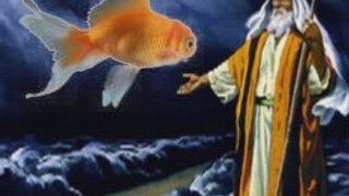 Bible Moses Never Existed
