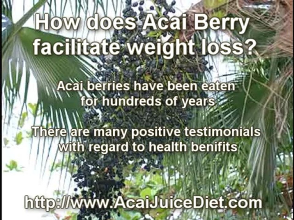 acai diet berry from the amazon weight loss