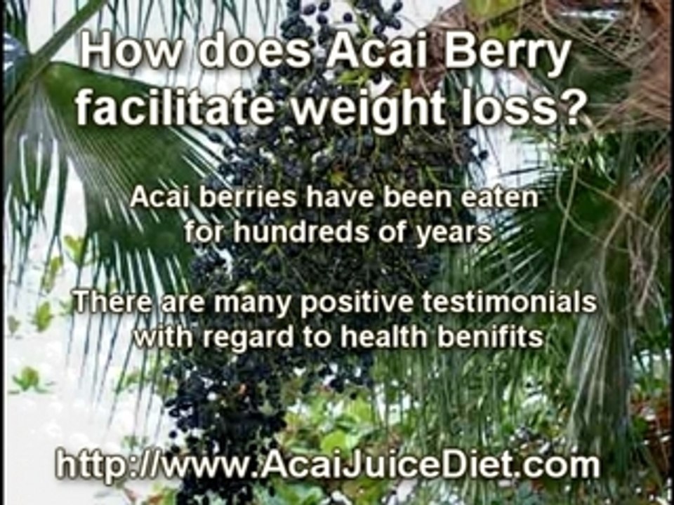 the acai berry straight from amazon forests