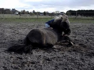 Lutin, premier coucher