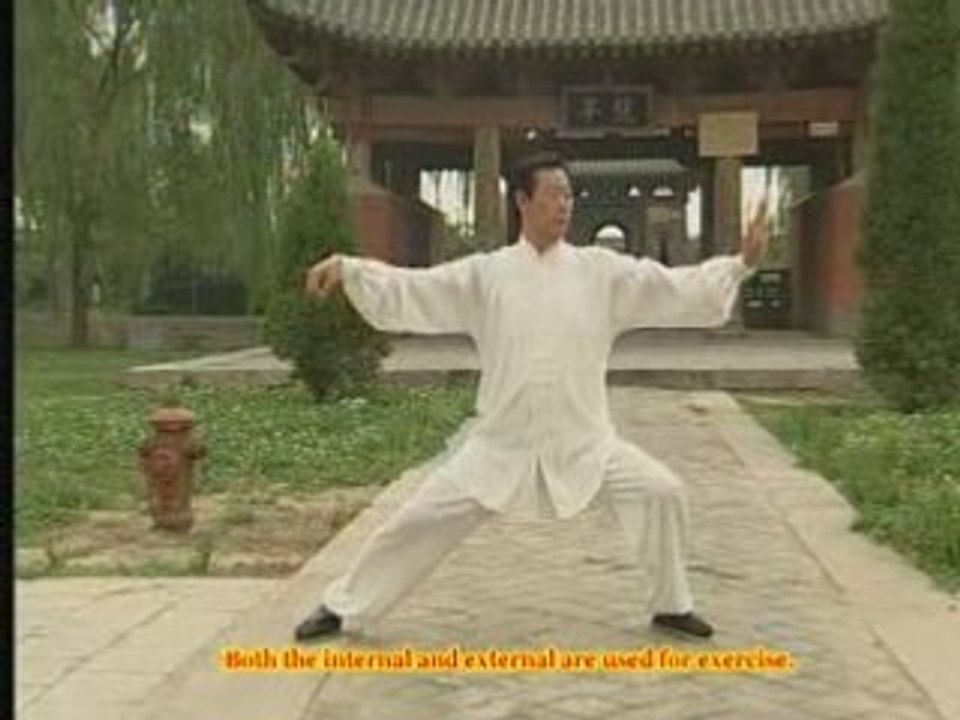 Taiji Style Chen : La Lao Jia executée par Wang Xian