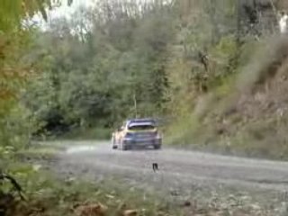 Critérium des Cevennes 8-11_2008 (8)