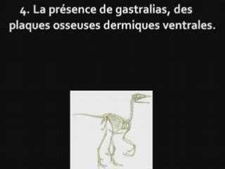 Évolution, Créationnisme et Archaeoptéryx