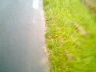 Galère sur le chemin de Conches