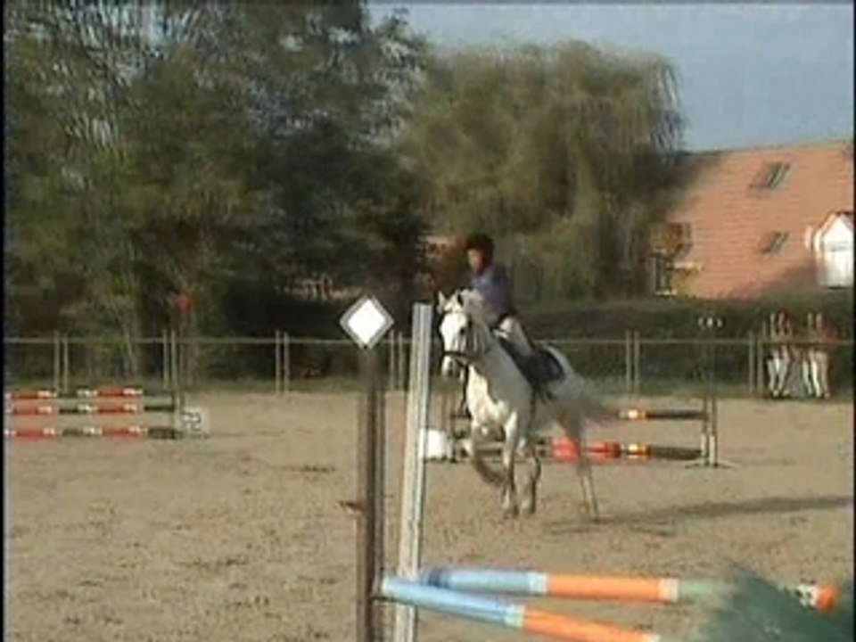 Jessie et Hop la concours avec villeneuve à st aubin, 24 oct