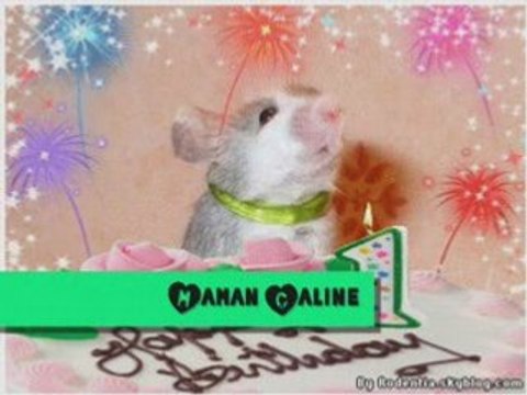 Anniversaire d'arrivée de mes petites souris