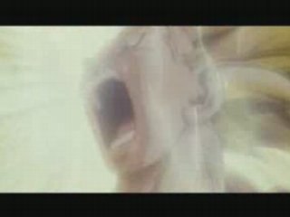 [duo] Sefi- And Juni-