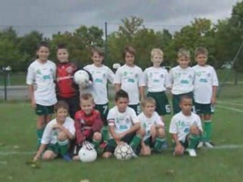 Les poussins de Saint ELoy de Gy