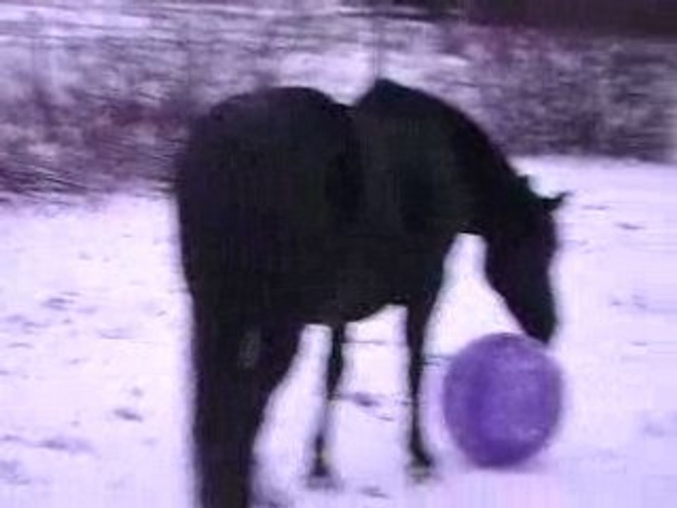 mimi et le balon
