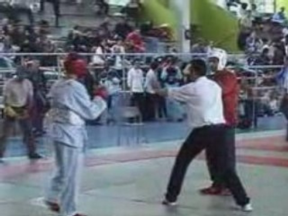 Viet Vo Dao Championnat de France 2006