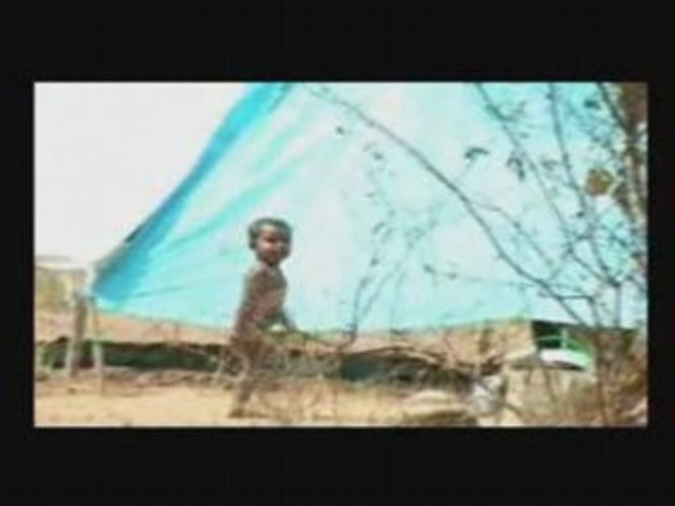 TamilIDPCrisis