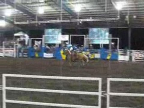 rodeo sur cheval bis