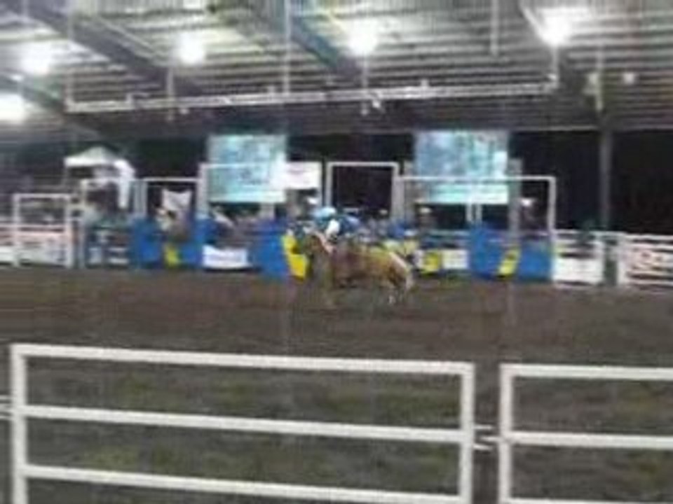 rodeo sur cheval bis