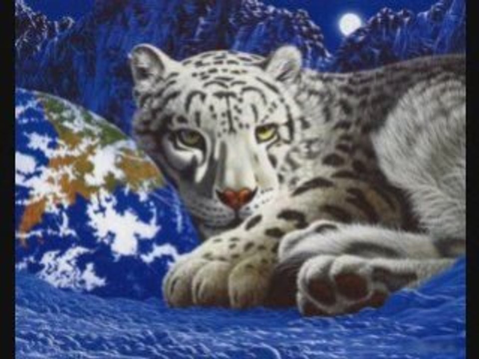 William Schimmel and Good Chillaz - Stoned Love