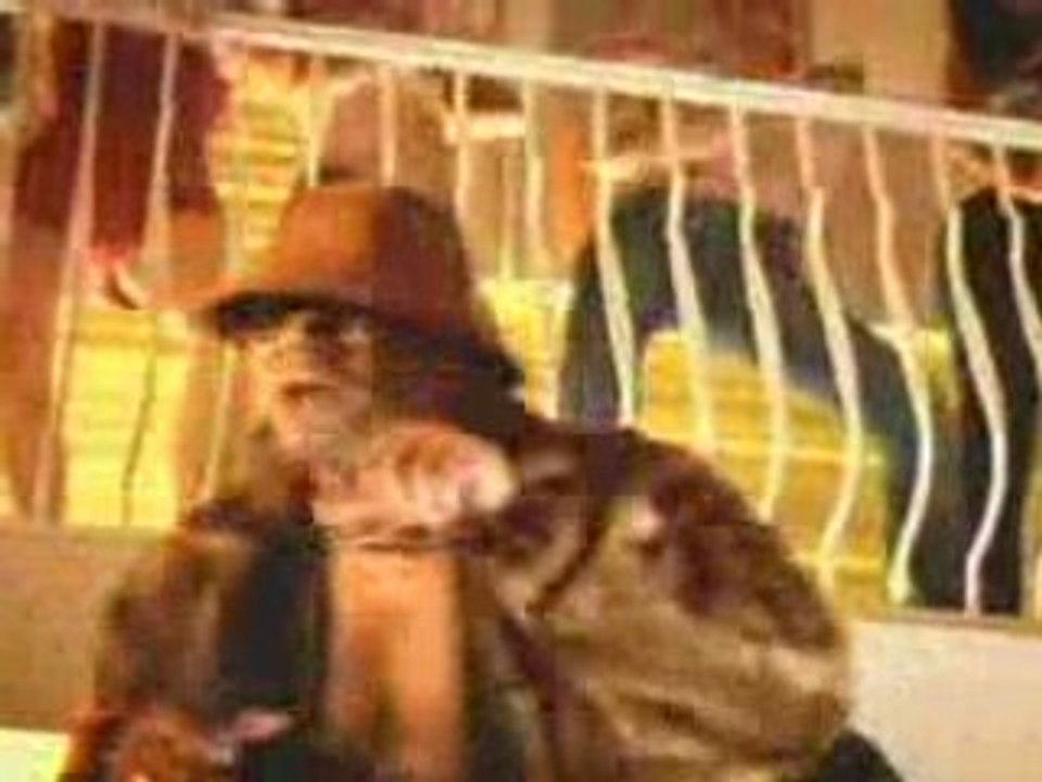 Wisin y Yandel - Bailoteo