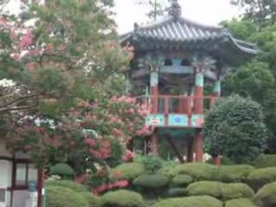 MOV00140