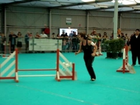 Avignon 2007 Vipper jumping