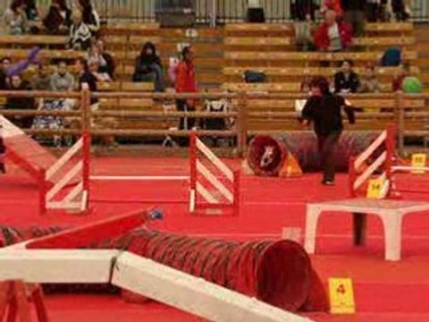 Avignon 2008 Vipper 2eme Degré