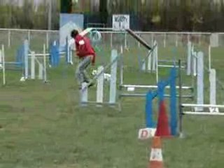 Cote Bleue Vipper GPF