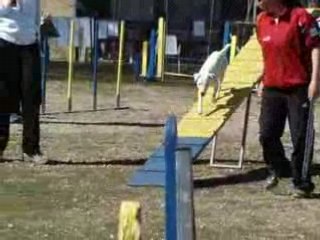 Mougins Vipper 2eme D