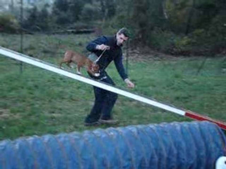 Duffy Agility