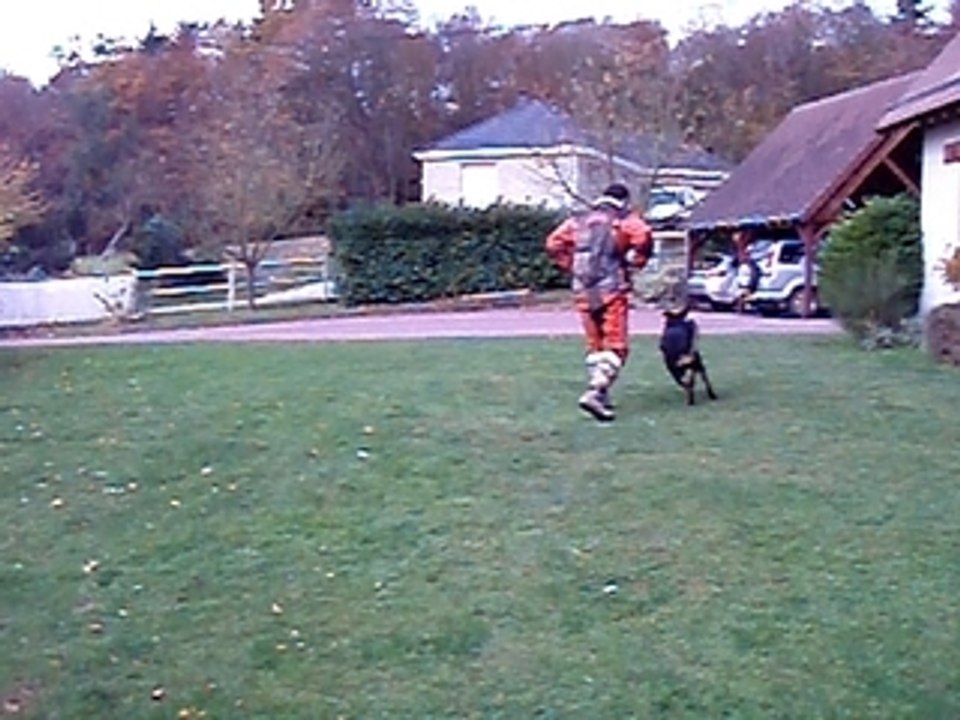 Dark Night Novembre 2008