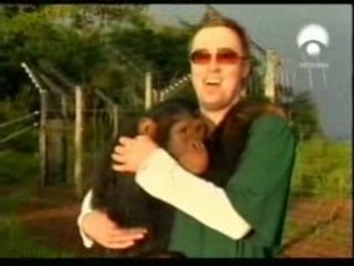 Chimpances: ¿Animales o personas?