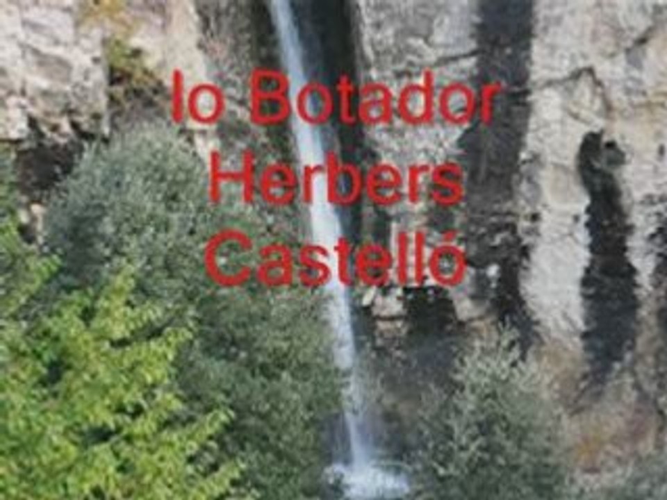 Herbers lo botador