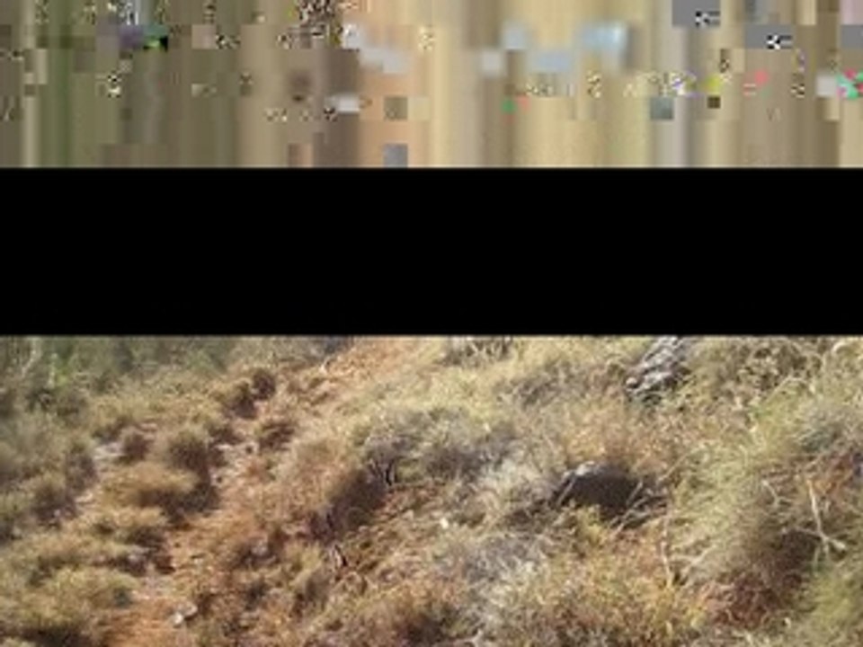 Cartographie, perdu dans le bush