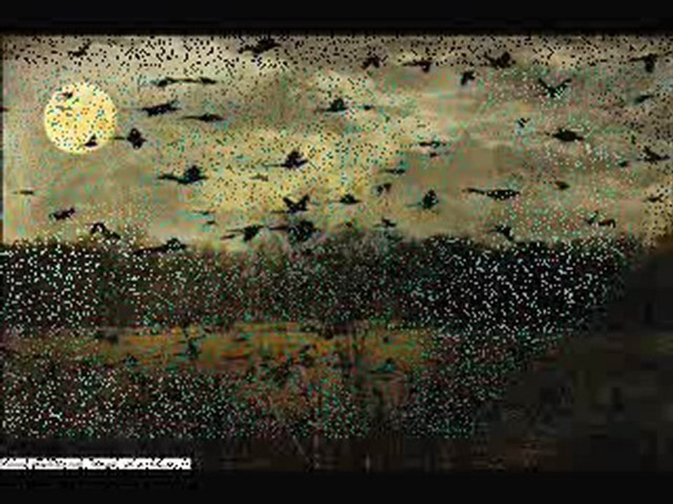 حاتم العراقي