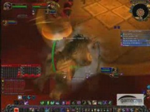 Paladin / Druid vs. The Scarlet Monastery