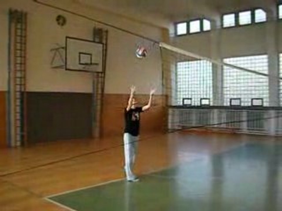 Volleyball 1 20081111