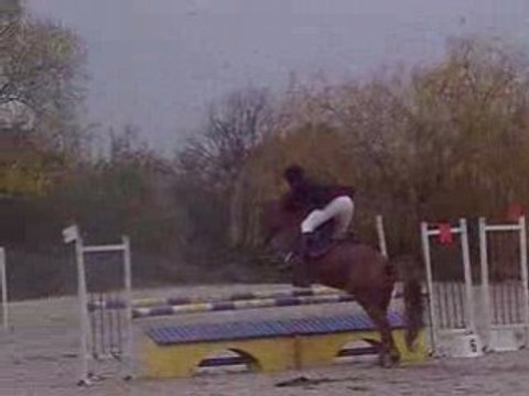 Honneur d'Angrie et Greg D3 ponam à Marigny les Usages