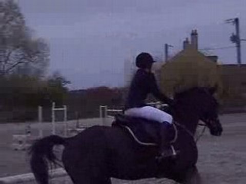 Okapie et Cam club 3 à Marigny les Usages