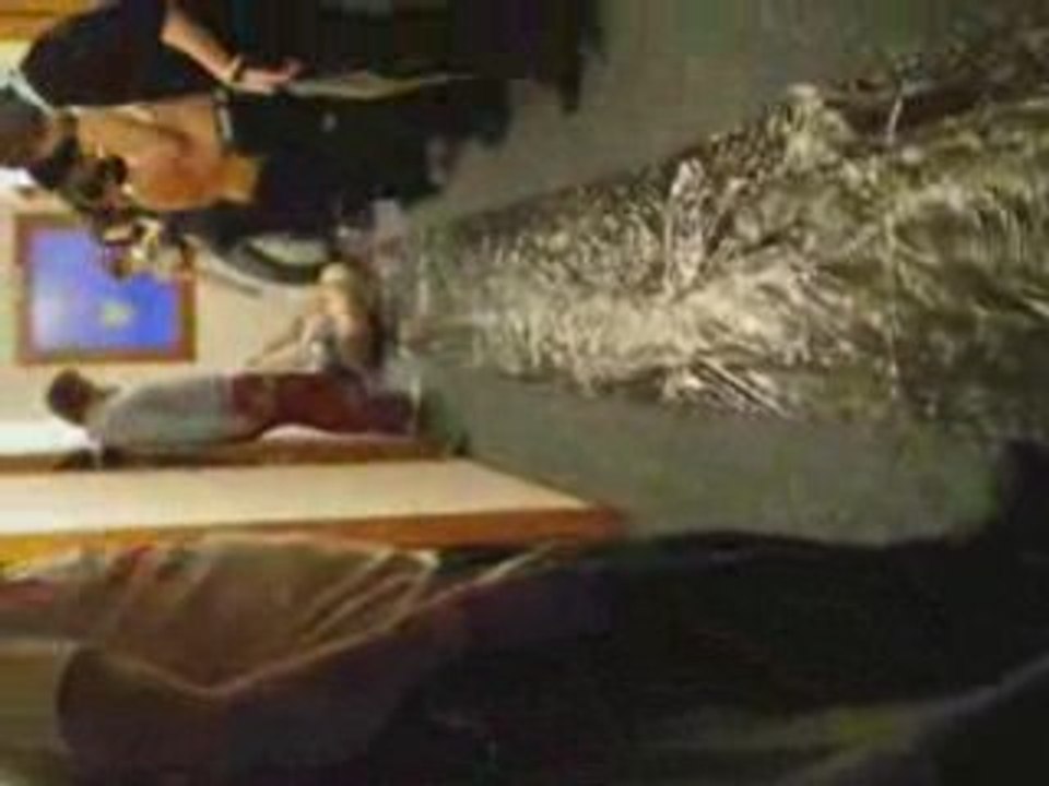 Glisse C2P1 ski P1 Tignes 2008