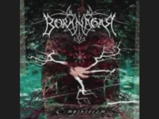 Borknagar - The Black Canvas