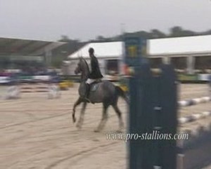 Chevaux