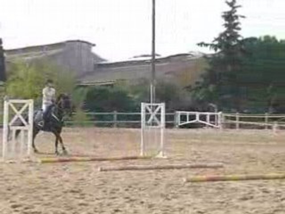 murdodido