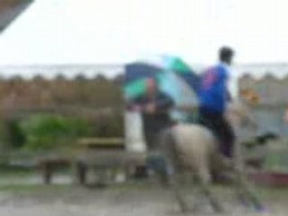 compet paire pony games