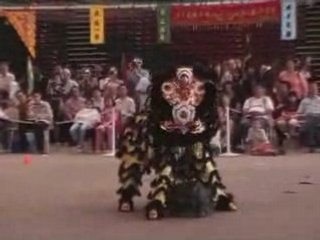 AFDDLC 2006 championnat