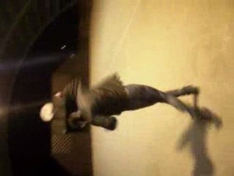 James Bond Mixé avec Chuck Norris et un peu de vodka 1