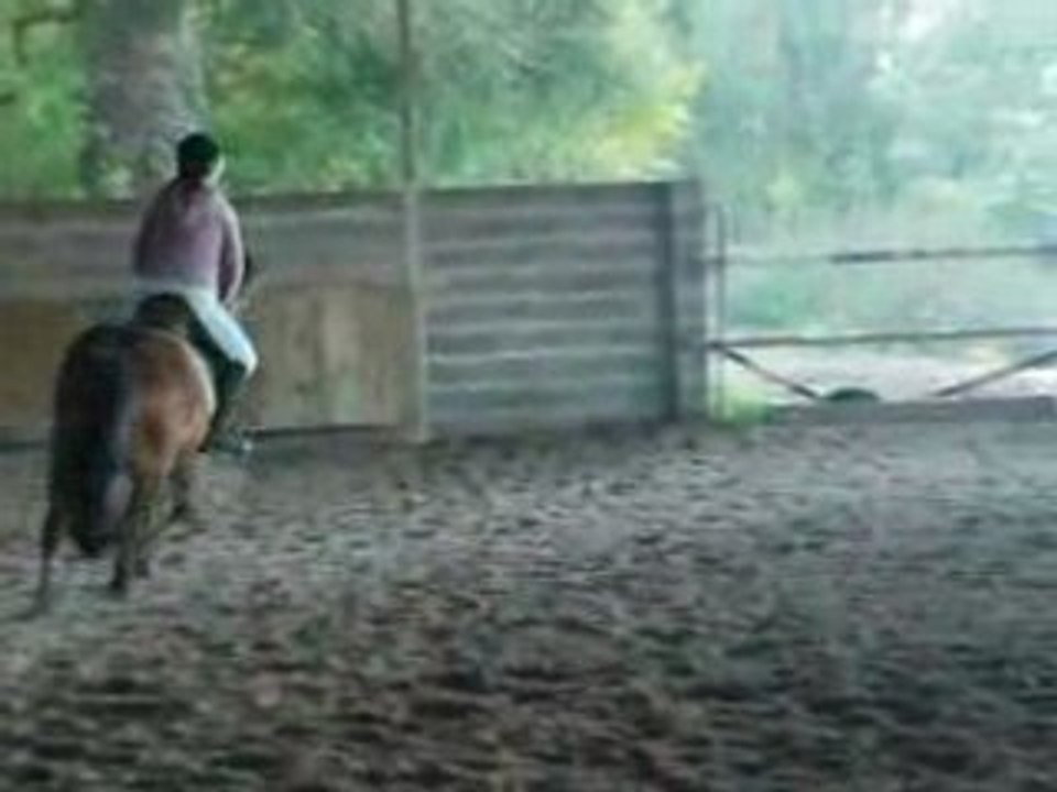 PàrcOur +3 sàut gàlOp màscOt