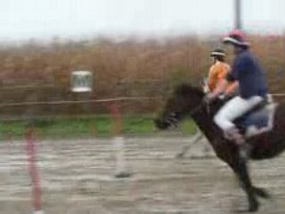 compet paire pony-games