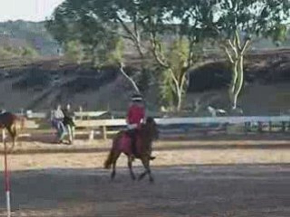 Pony Games