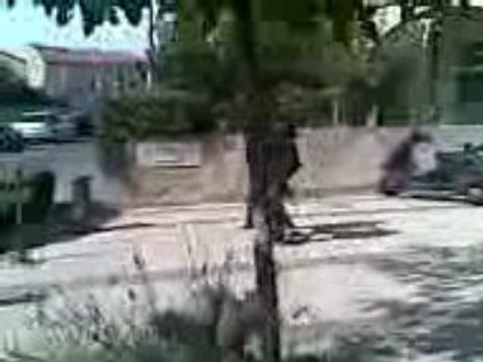 Vidéo002